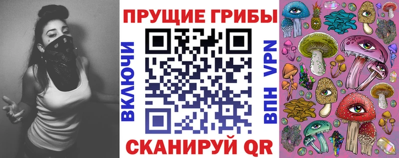 Купить закладки  Северск  Галлюциногенные грибы Psilocybe 